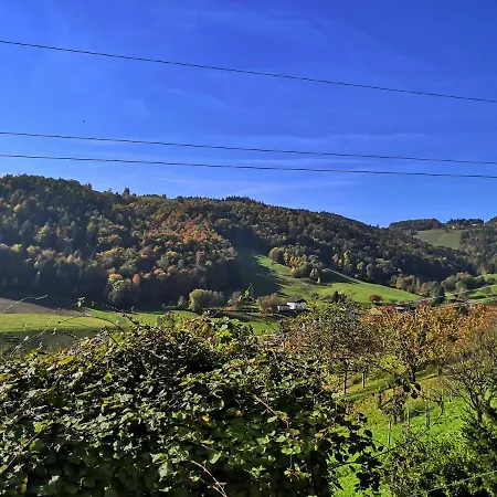 Apartmaji Sofia Apartamento Maribor