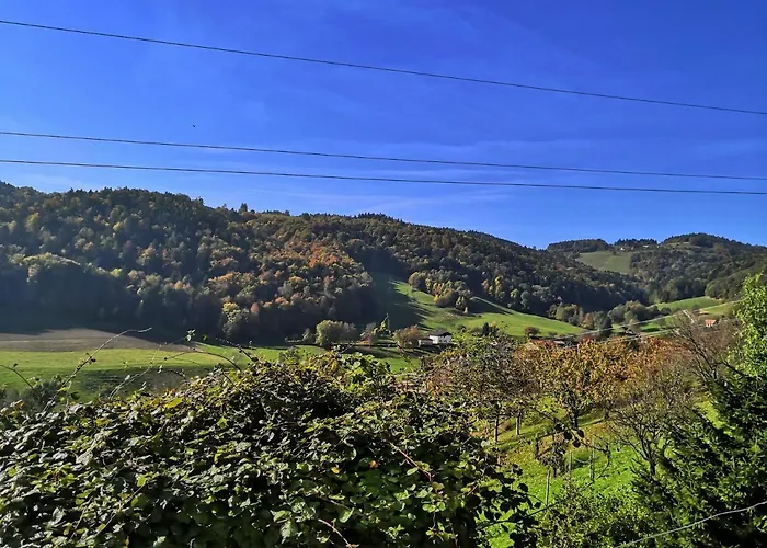 Apartmaji Sofia Апартаменты Марибор